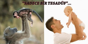 Hayvanların Evrim Geçirmesi Söz Konusu Mudur?